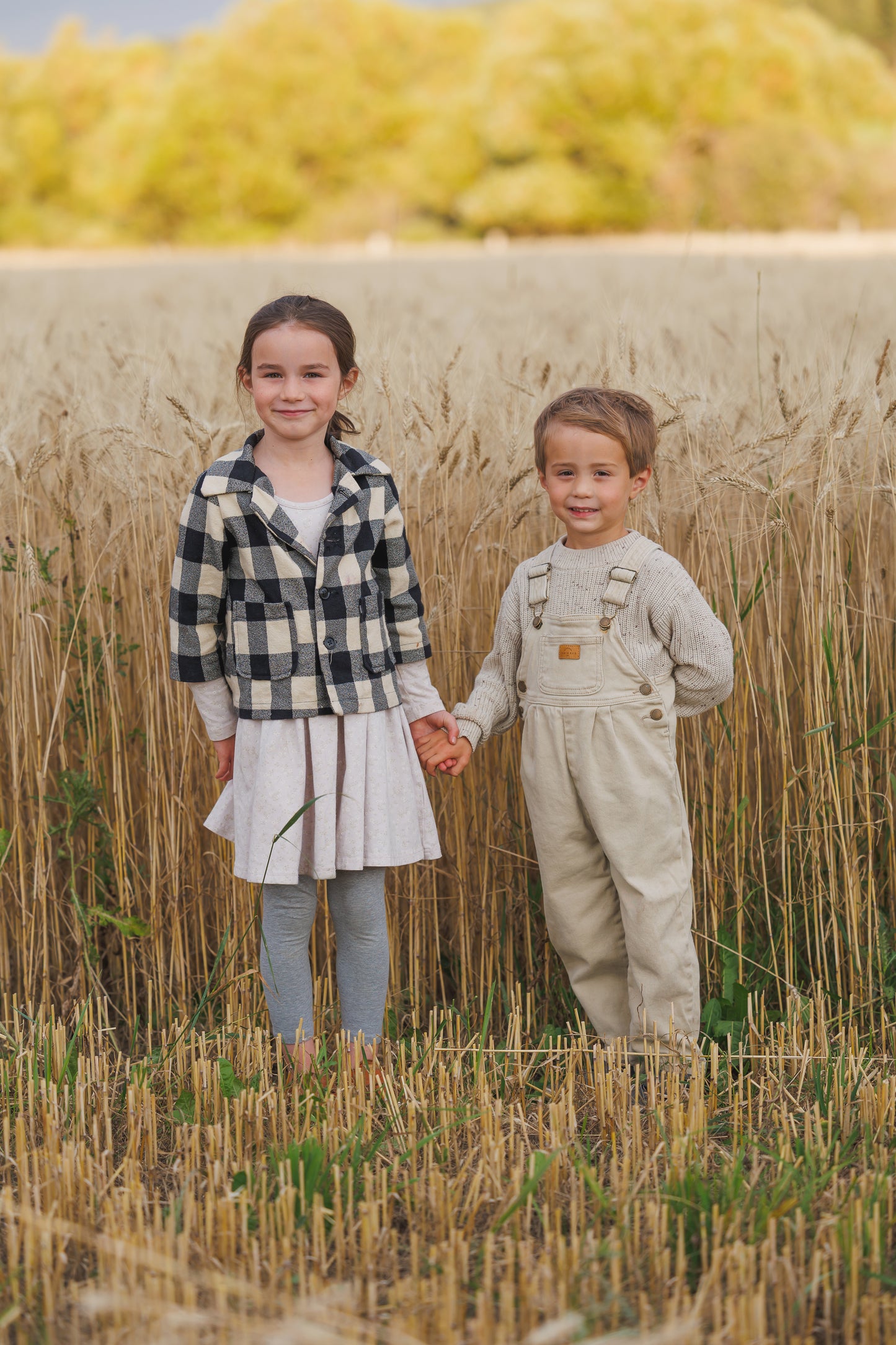 100% Wheat Berries—Rouge De Bordeaux 1800s heritage wheat