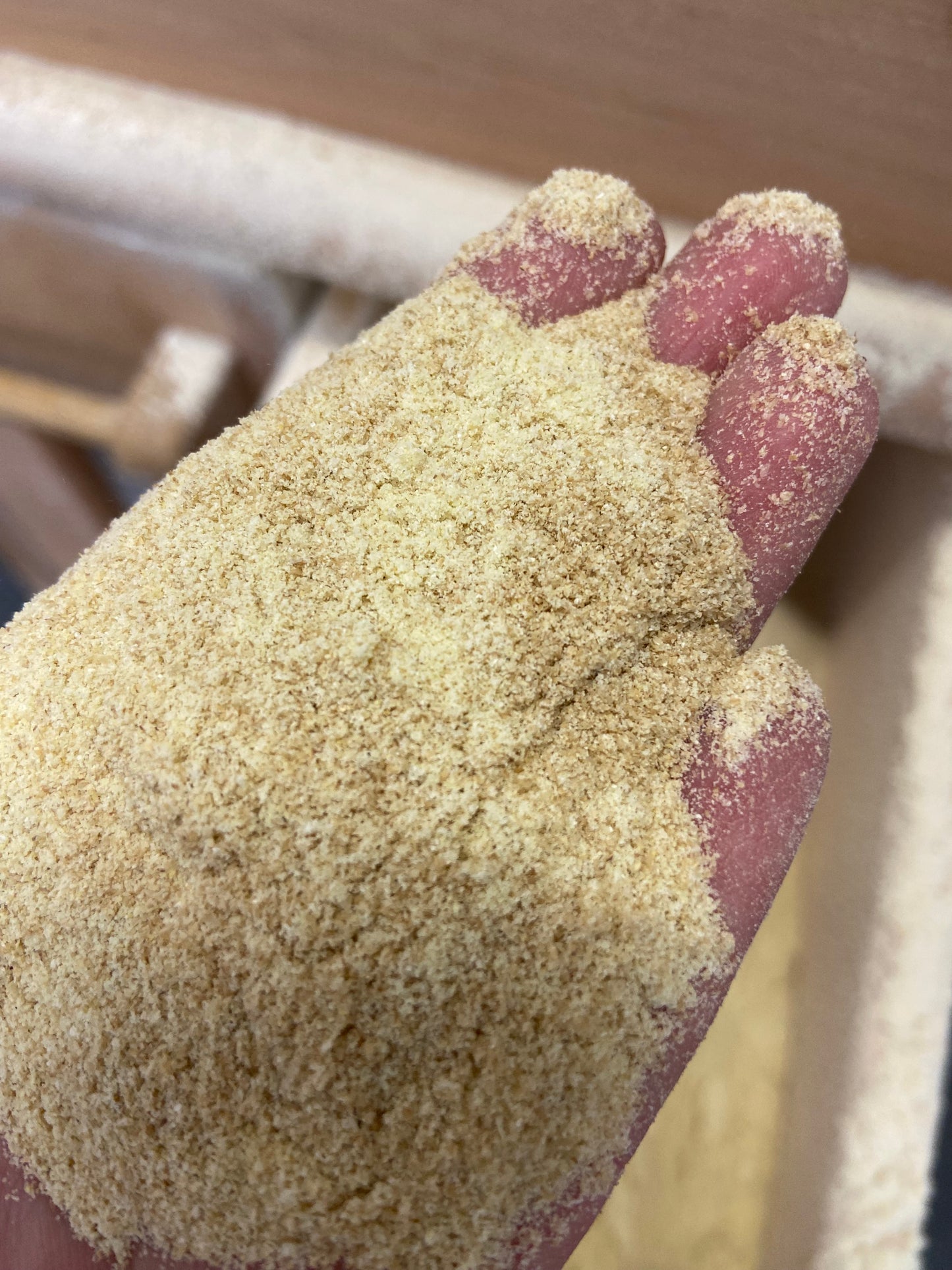 *limited edition* Durum “Midds” (perfect for crackers!)