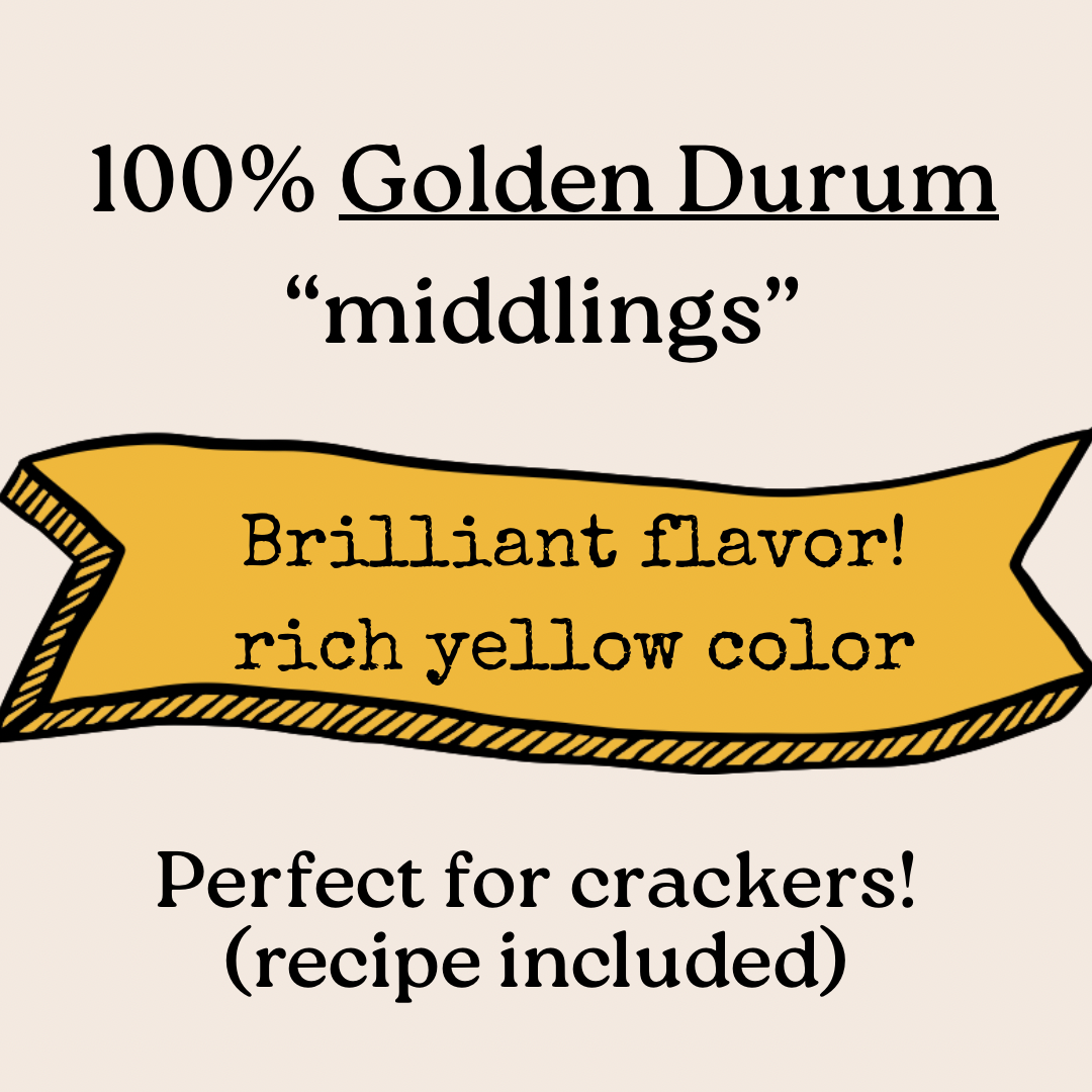 *limited edition* Durum “Midds” (perfect for crackers!)