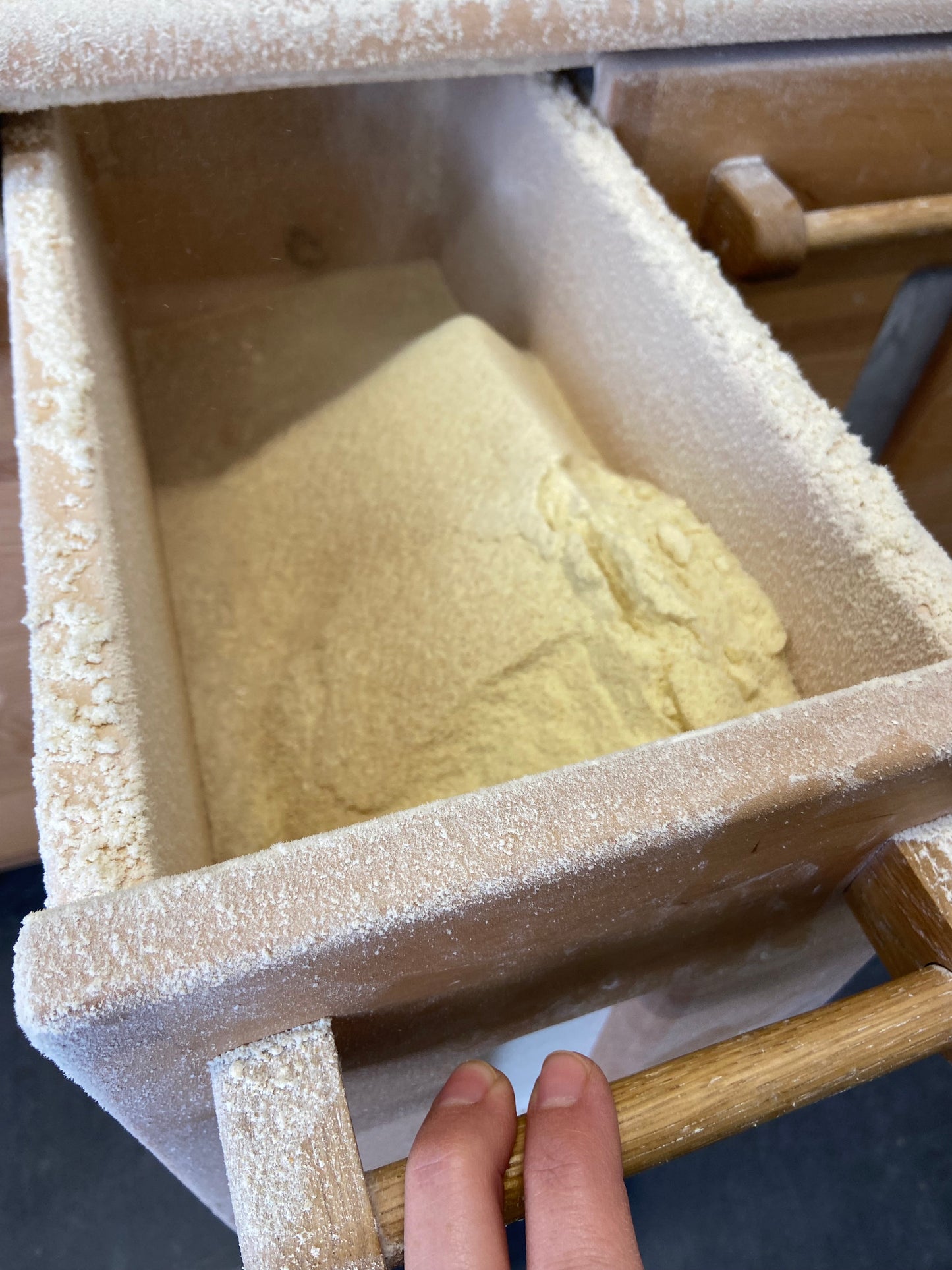 *limited edition* Durum “Midds” (perfect for crackers!)