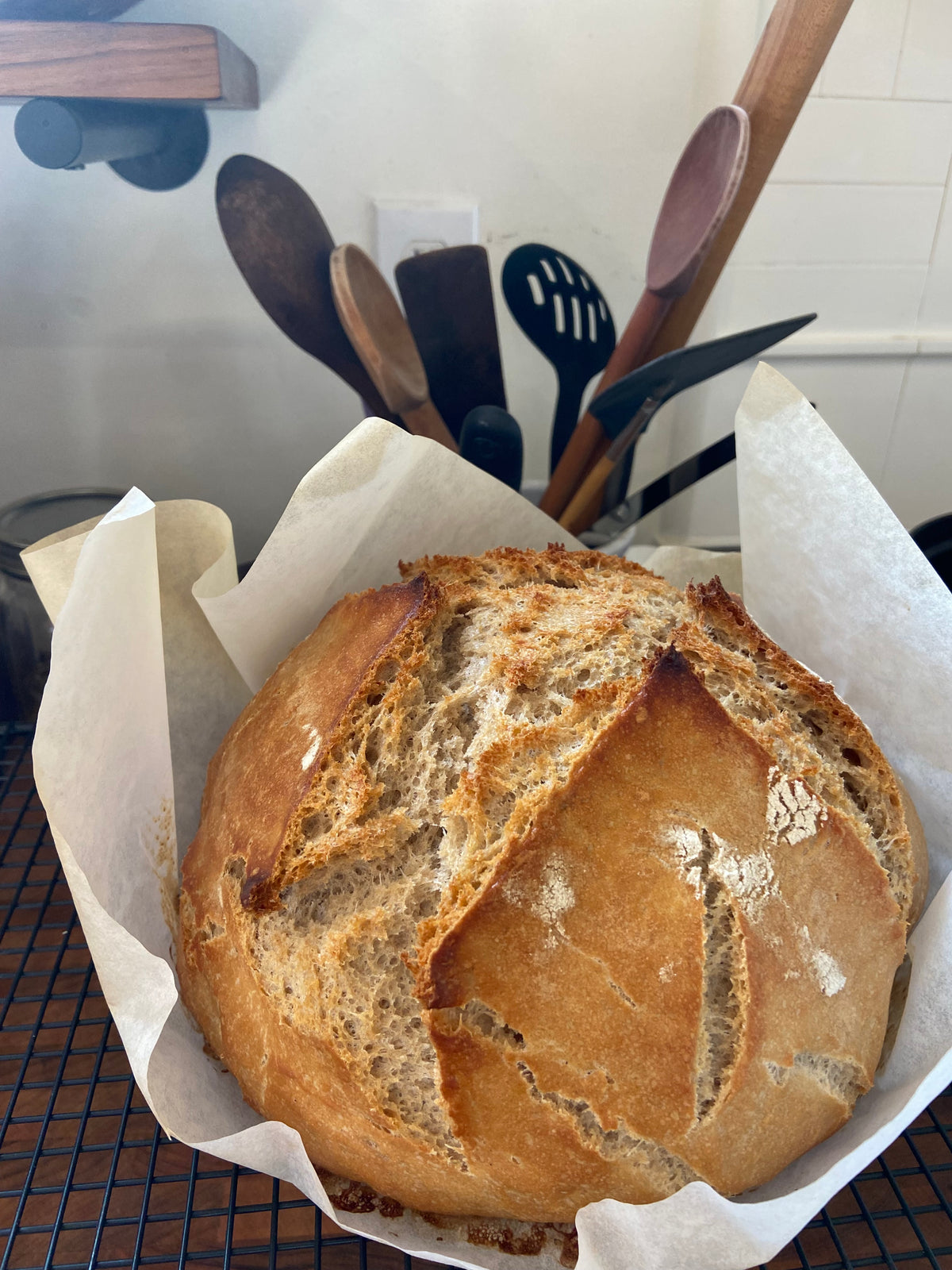 Whole Wheat Flour—Rouge De Bordeaux 1800s heritage wheat