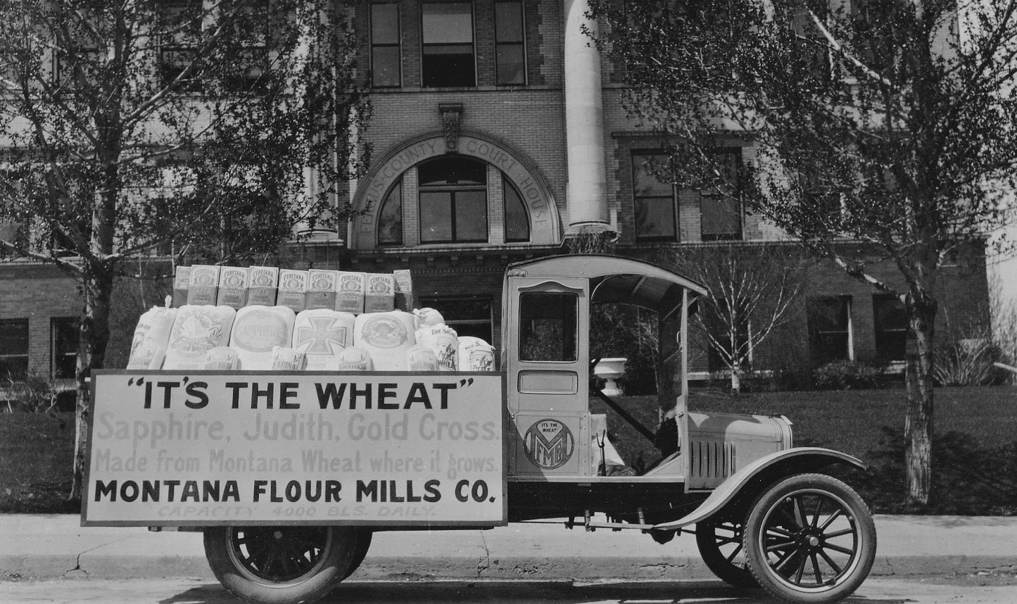 250 Years of America 🇺🇸 7lbs Wheat Berries